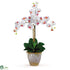 Silk Plants Direct Triple Stem Phalaenopsis Silk Orchid Arrangement - White - Pack of 1