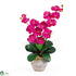 Silk Plants Direct Double Stem Phalaenopsis Silk Orchid Arrangement - Beauty - Pack of 1