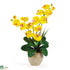 Silk Plants Direct Double Stem Phalaenopsis Silk Orchid Arrangement - Yellow - Pack of 1