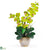 Silk Plants Direct Double Stem Phalaenopsis Silk Orchid Arrangement - Green - Pack of 1