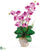 Silk Plants Direct Double Stem Phalaenopsis Silk Orchid Arrangement - Mauve - Pack of 1
