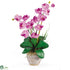 Silk Plants Direct Double Stem Phalaenopsis Silk Orchid Arrangement - Mauve - Pack of 1