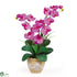 Silk Plants Direct Double Stem Phalaenopsis Silk Orchid Arrangement - Orchid - Pack of 1
