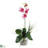 Silk Plants Direct Mini Phalaenopsis Liquid Illusion Silk Orchid Arrangement - Pink - Pack of 1