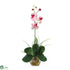 Silk Plants Direct Mini Phalaenopsis Liquid Illusion Silk Orchid Arrangement - Pink White - Pack of 1
