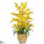 Silk Plants Direct Triple Dancing Lady - Yellow - Pack of 1