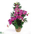 Silk Plants Direct Phalaenopsis, Dendrobium Orchids - Orchid Purple - Pack of 1