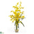 Silk Plants Direct Dancing Lady Liquid Illusion - Yellow - Pack of 1