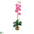 Silk Plants Direct Single Phalaenopsis Liquid Illusion - Dark Pink - Pack of 1