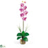 Silk Plants Direct Single Phalaenopsis Liquid Illusion - Mauve - Pack of 1