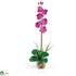 Silk Plants Direct Single Phalaenopsis Liquid Illusion - Orchid - Pack of 1