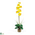Silk Plants Direct Single Phalaenopsis Liquid Illusion - Yellow - Pack of 1