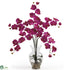 Silk Plants Direct Phalaenopsis Liquid Illusion - Beauty - Pack of 1