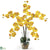 Silk Plants Direct Phalaenopsis Liquid Illusion - Yellow - Pack of 1