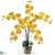 Silk Plants Direct Phalaenopsis Orchid - Yellow - Pack of 1