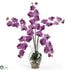 Silk Plants Direct Phalaenopsis Liquid Illusion - Mauve - Pack of 1
