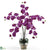 Silk Plants Direct Phalaenopsis Liquid Illusion - Orchid - Pack of 1