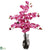 Silk Plants Direct Phalaenopsis - Dark Pink - Pack of 1