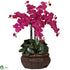 Silk Plants Direct Large Phalaenopsis - Beauty - Pack of 1