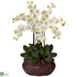 Silk Plants Direct Large Phalaenopsis - Cream - Pack of 1