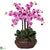 Silk Plants Direct Large Phalaenopsis - Mauve - Pack of 1