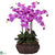 Silk Plants Direct Large Phalaenopsis - Orchid - Pack of 1