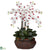 Silk Plants Direct Large Phalaenopsis - White - Pack of 1