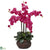 Silk Plants Direct Phalaenopsis - Beauty - Pack of 1