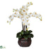 Silk Plants Direct Phalaenopsis - Cream - Pack of 1
