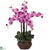 Silk Plants Direct Phalaenopsis - Mauve - Pack of 1