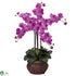 Silk Plants Direct Phalaenopsis - Orchid - Pack of 1