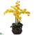 Silk Plants Direct Phalaenopsis - Yellow - Pack of 1