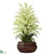 Silk Plants Direct Large Dancing Lady - Green - Pack of 1