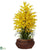 Silk Plants Direct Large Dancing Lady - Yellow - Pack of 1