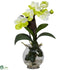 Silk Plants Direct Mini Vanda - White - Pack of 1