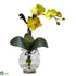 Silk Plants Direct Mini Phalaenopsis - Yellow - Pack of 1