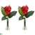 Silk Plants Direct Anthurium - Red - Pack of 2