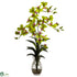 Silk Plants Direct Dendrobium Orchid - Green - Pack of 1