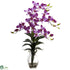 Silk Plants Direct Dendrobium Orchid - Purple - Pack of 1