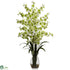 Silk Plants Direct Dancing Lady Orchid - Green - Pack of 1