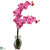Silk Plants Direct Phalaenopsis Orchid - Dark Pink - Pack of 1