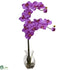 Silk Plants Direct Phalaenopsis Orchid - Orchid - Pack of 1