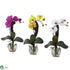 Silk Plants Direct Mini Phal Orchid Arrangement - Pack of 1