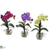Silk Plants Direct Mini Vanda Orchid Arrangement - Pack of 1
