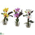Silk Plants Direct Mini Cattleya Orchid Arrangement - Pack of 1