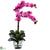 Silk Plants Direct Double Phal Orchid - Mauve - Pack of 1