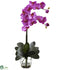 Silk Plants Direct Double Phal Orchid - Orchid - Pack of 1