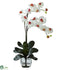 Silk Plants Direct Double Phal Orchid - White - Pack of 1
