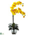 Silk Plants Direct Double Phal Orchid - Yellow - Pack of 1