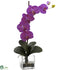Silk Plants Direct Giant Phal Orchid - Orchid - Pack of 1